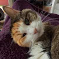 Photo of kristine4900