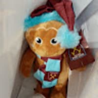 Photo of Coyigill