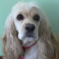 Photo of sue5947