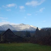 Photo of bonnie61329
